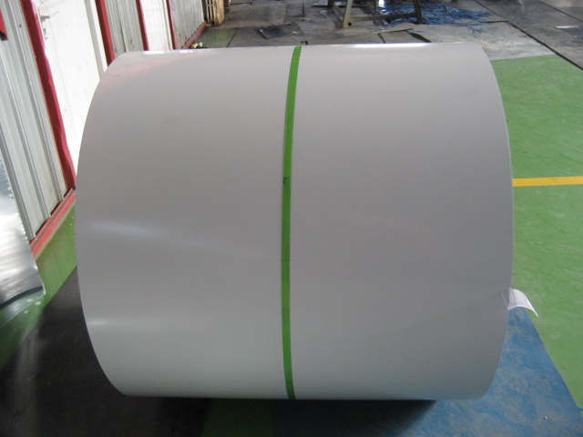 Galvanized Steel Coil