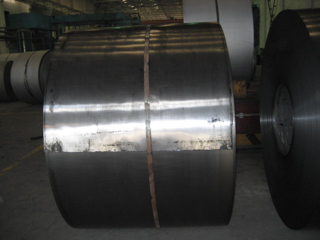 Hot Dipped Galvanized Steel Coil